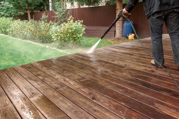 Best Pre-Holiday Cleaning  in Audubon Park, NJ